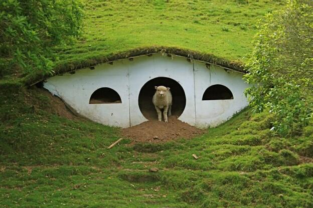  Rumah Hobbit Malah Dijadikan Kandang Domba 