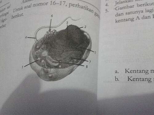 &#91;Share Pengalaman&#93; Bongkar Kesalahan Buku Kurikulum 2013