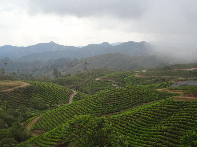 7 (tujuh) Tempat Wisata yang Pantut anda Kunjungi jika berada di Sulawesi Selatan