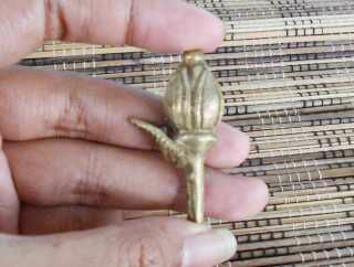 MUSTIKA KEMBANG WIJAYA KUSUMA (kuningsari)