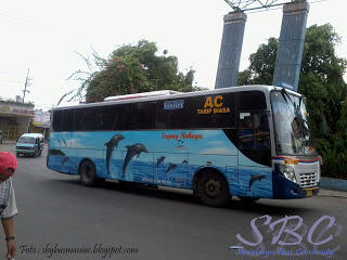 Bus-bus (yang pernah dan masih) menguasai aspal jawa timur