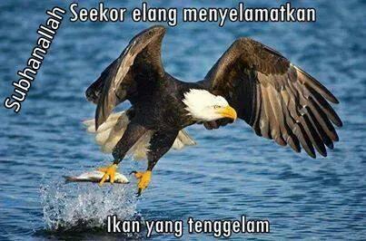 Apakah ini termasuk keajaiban dunia ke-8?
