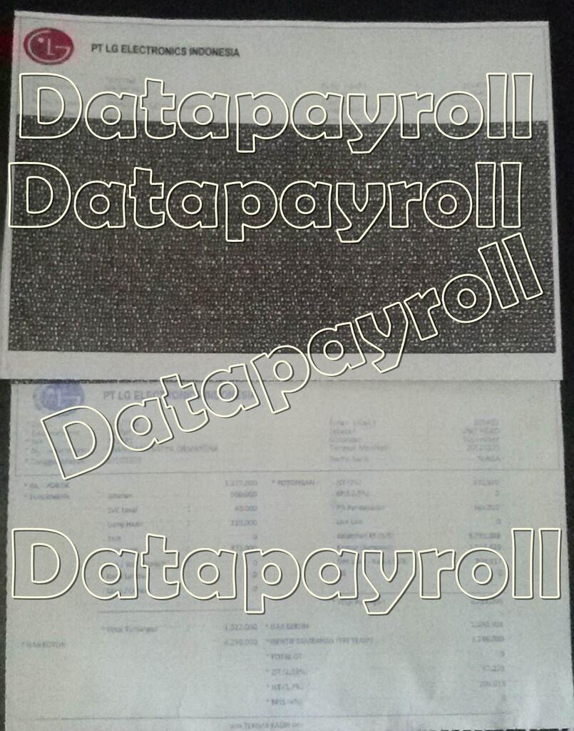 Terjual JASA PEMBUATAN SLIP GAJI CARBONIZED BERWARNA 