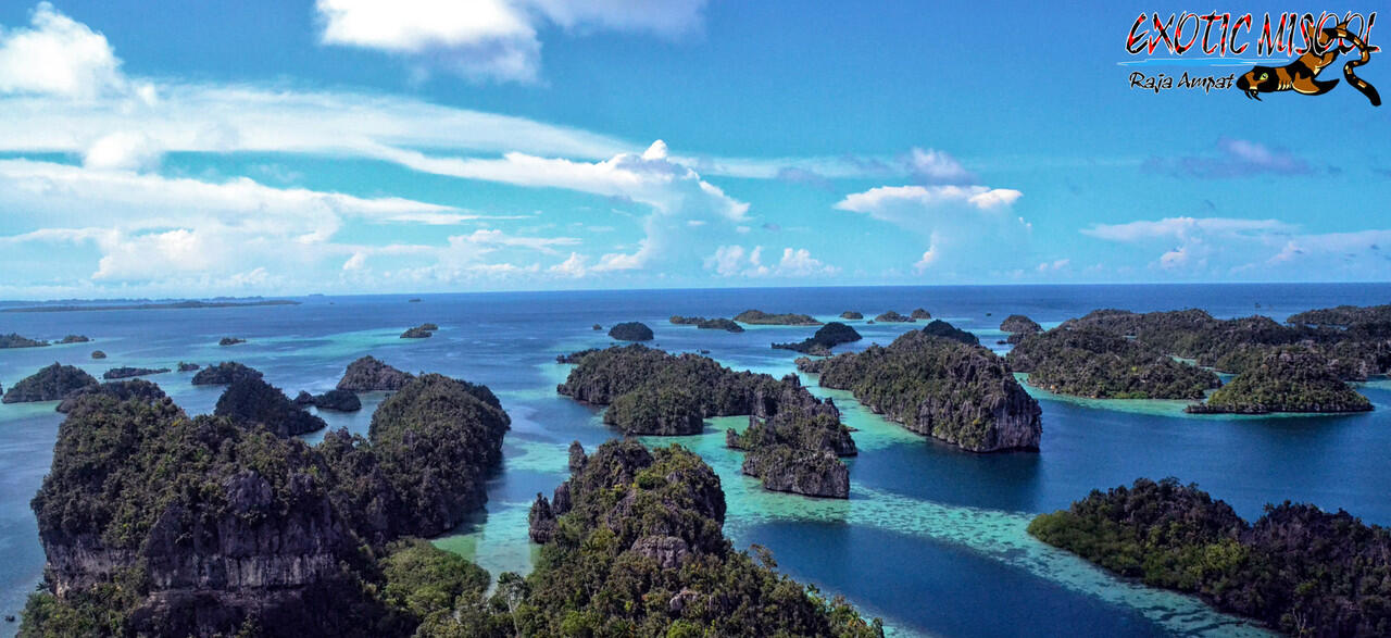 Raja Ampat Selatan Lebih WooOooW