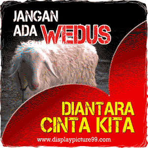 Kumpulan DP BBM Animasi Terbaru