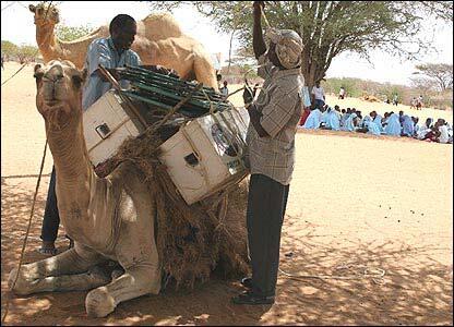 Kenya manfaatkan unta untuk berantas buta huruf di gurun pasir