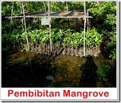 KEPULAUAN MASALEMBU DAN KONSERVASI KAKATUA NUSANTARA