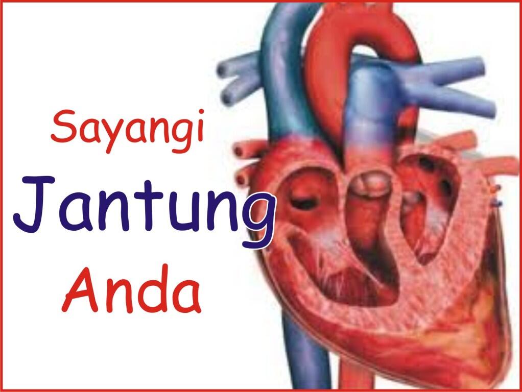 Jenis-jenis Penyakit di Seputar Jantung