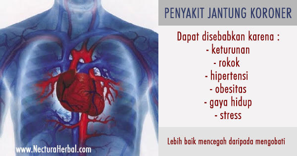 Jenis-jenis Penyakit di Seputar Jantung