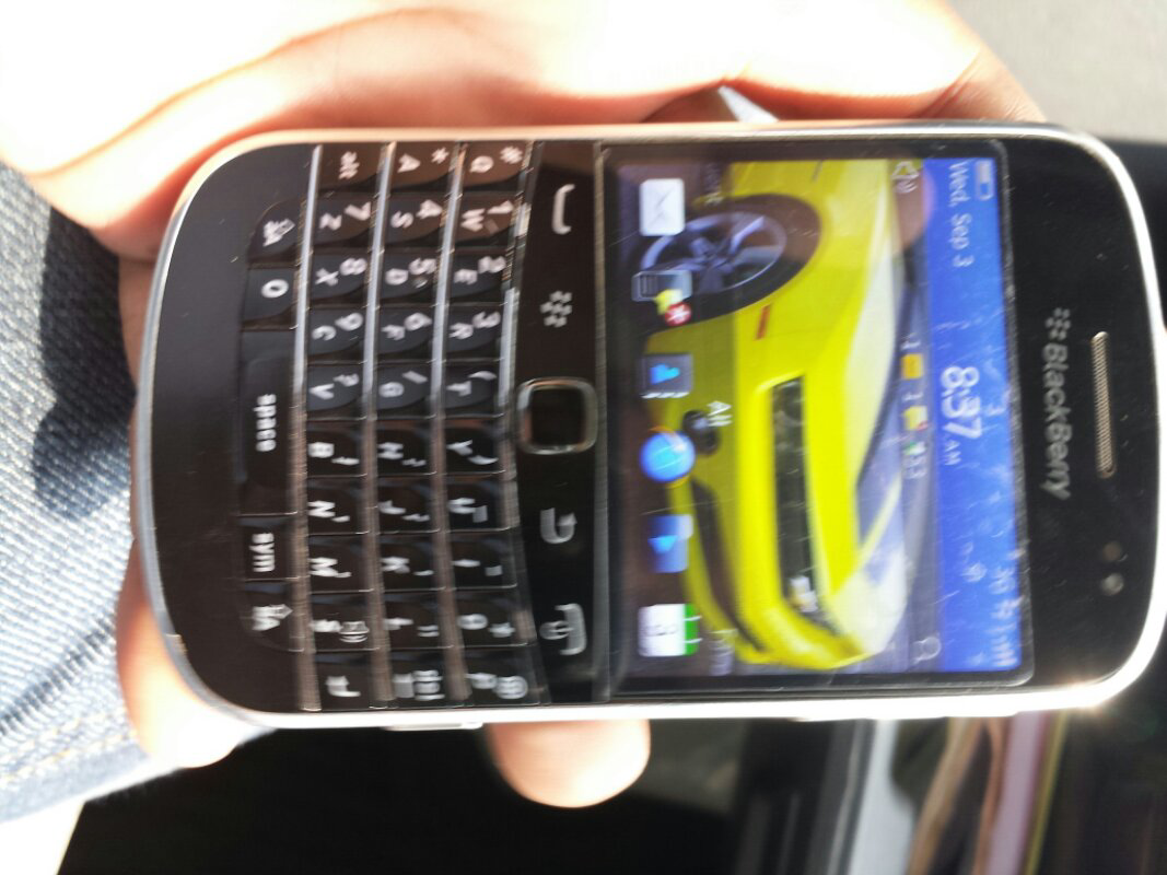 Blackberry Montana
