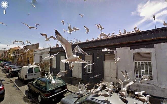 GOKIL..!! 50 Moment Mengejutkan Yang Terekam Google Street View