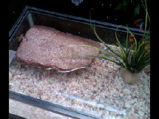 EXOTERRA REPTIL ACCECORIS