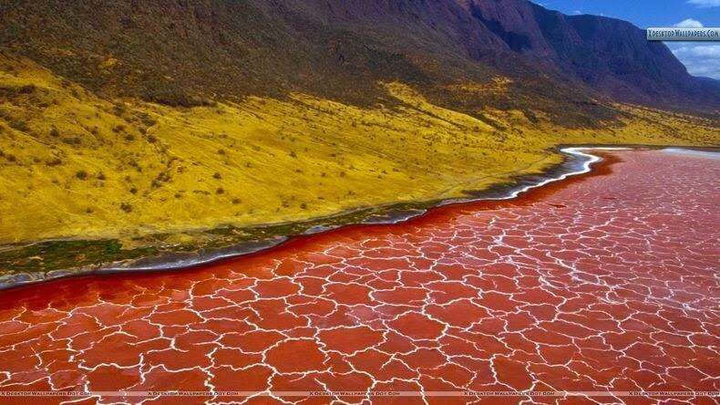 Natron, Danau Mematikan yang Mengubah Korbannya Menjadi Batu