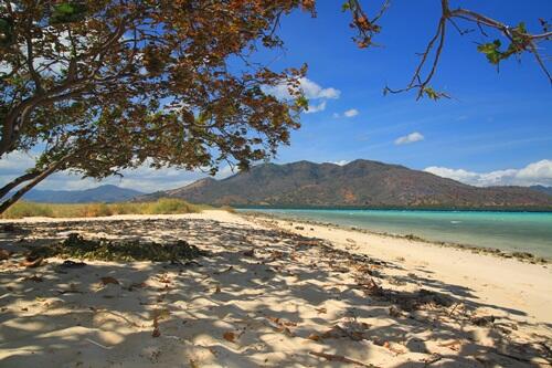 Keindahan Pulau Pangabatang-Maumere
