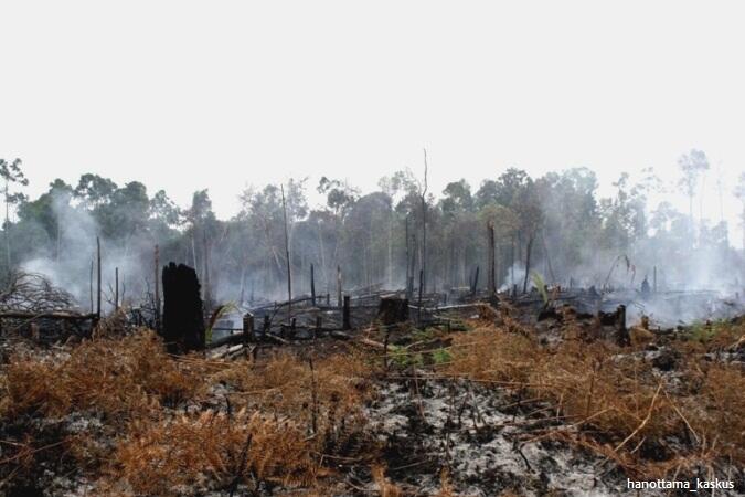 Perjalanan di Kalimantan Tengah &#91;Pic+&#93;