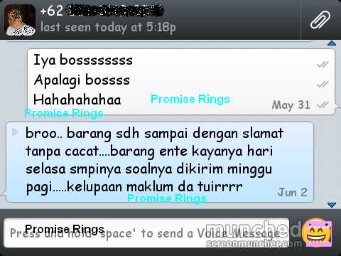 .::. Testimonial Promiserings .::.