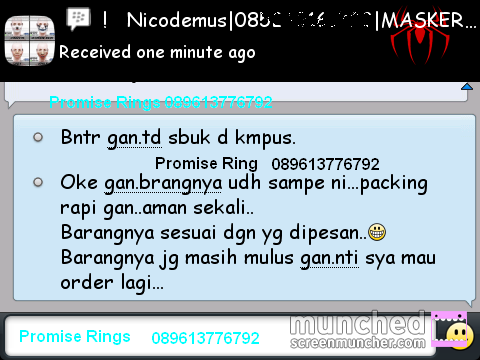 .::. Testimonial Promiserings .::.