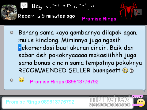 .::. Testimonial Promiserings .::.
