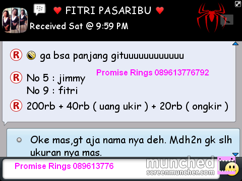 .::. Testimonial Promiserings .::.