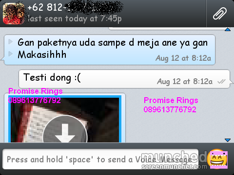 .::. Testimonial Promiserings .::.