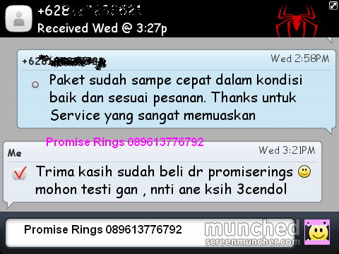 .::. Testimonial Promiserings .::.