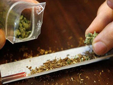 Konsumsi Ganja, 19 Pegawai Akan Diturunkan Pangkat
