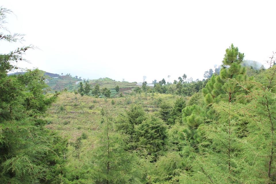 &#91;CATPER&#93; #LATEPOST Bukit Teletubies Gunung Prau 16-17 November 2013