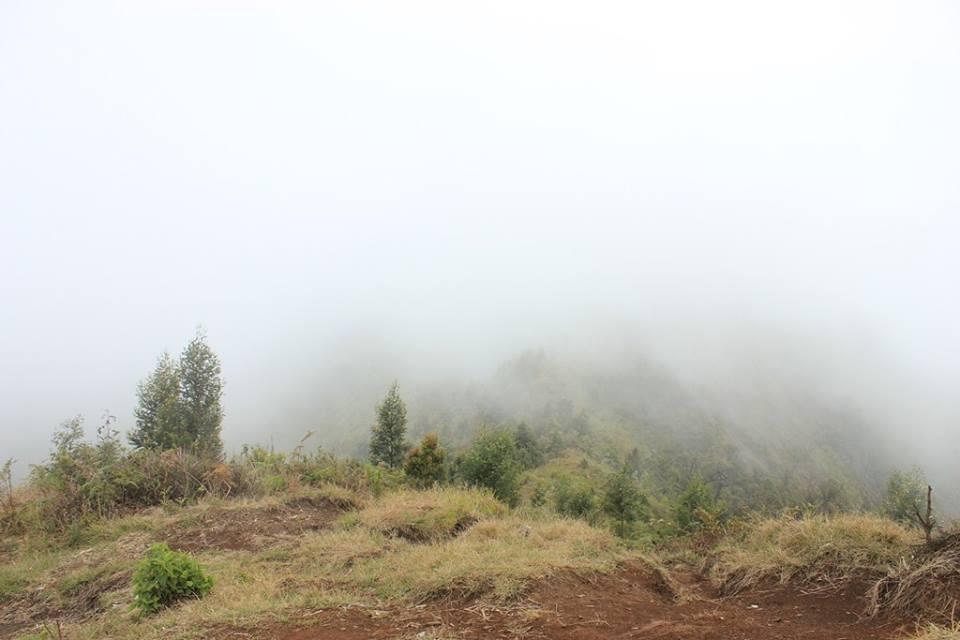 &#91;CATPER&#93; #LATEPOST Bukit Teletubies Gunung Prau 16-17 November 2013