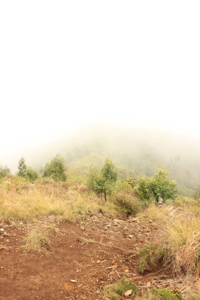 &#91;CATPER&#93; #LATEPOST Bukit Teletubies Gunung Prau 16-17 November 2013