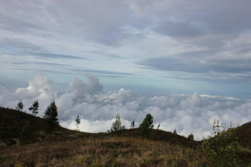 &#91;CATPER&#93; #LATEPOST Bukit Teletubies Gunung Prau 16-17 November 2013