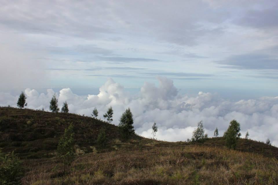 &#91;CATPER&#93; #LATEPOST Bukit Teletubies Gunung Prau 16-17 November 2013