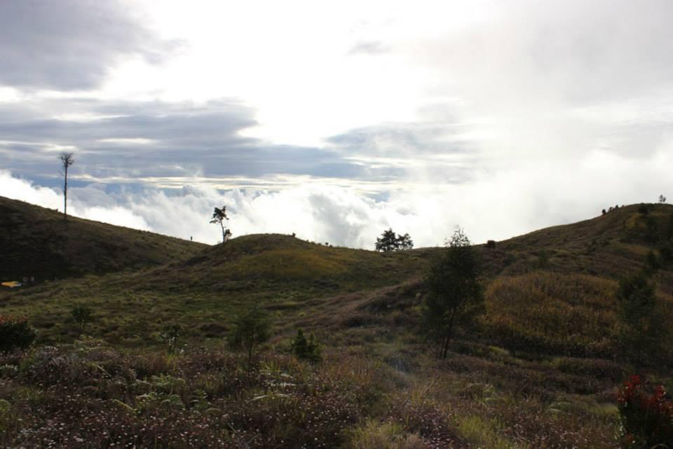 &#91;CATPER&#93; #LATEPOST Bukit Teletubies Gunung Prau 16-17 November 2013