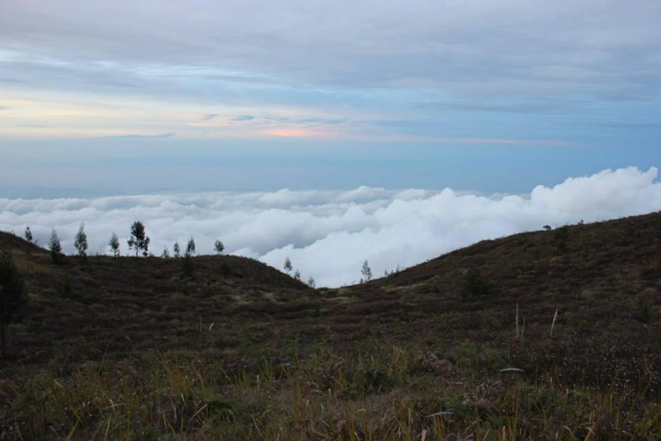 &#91;CATPER&#93; #LATEPOST Bukit Teletubies Gunung Prau 16-17 November 2013