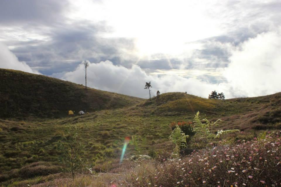 &#91;CATPER&#93; #LATEPOST Bukit Teletubies Gunung Prau 16-17 November 2013