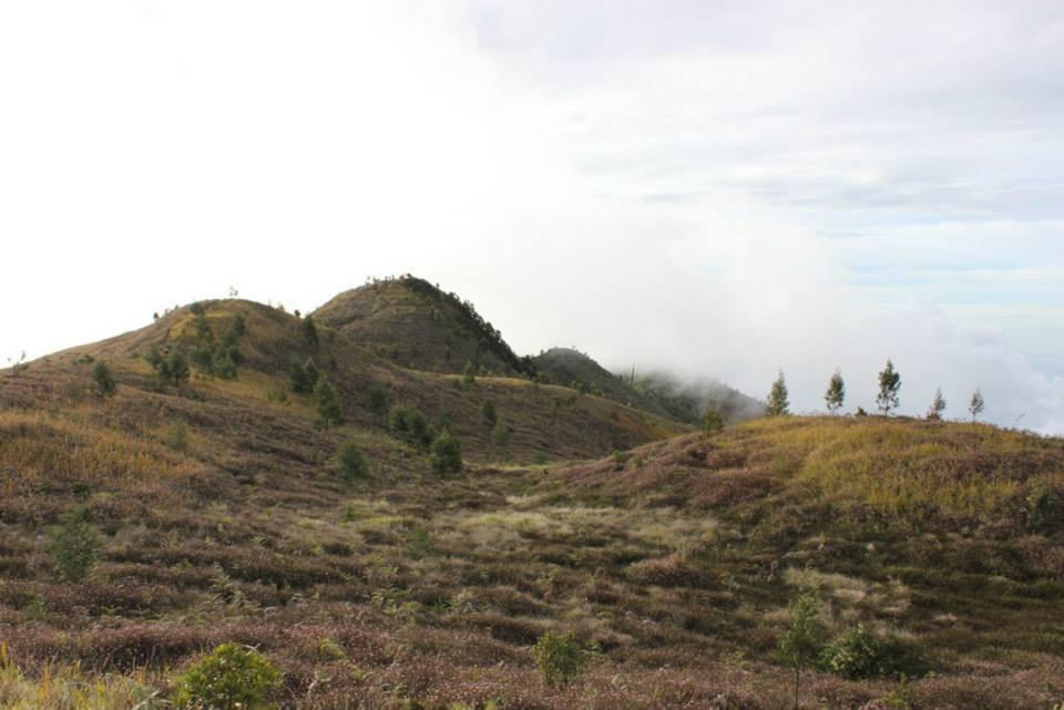 &#91;CATPER&#93; #LATEPOST Bukit Teletubies Gunung Prau 16-17 November 2013