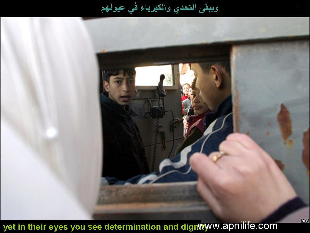 School in Palestine