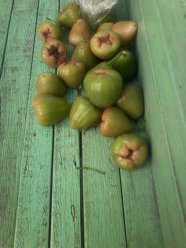 BUAH JAMBU AIR 