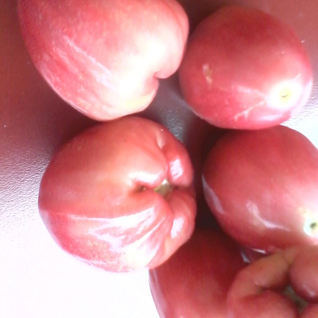 BUAH JAMBU AIR 