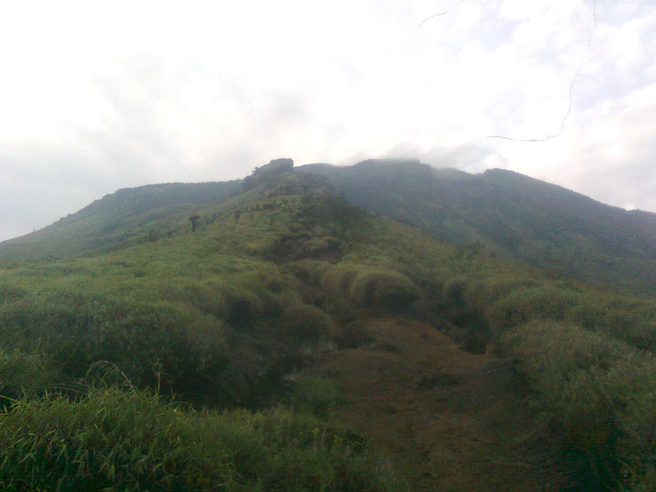 &#91;CatPer&#93; #Latepost, Night Solo Hike, Gn. Sumbing 29-30 Maret 2014