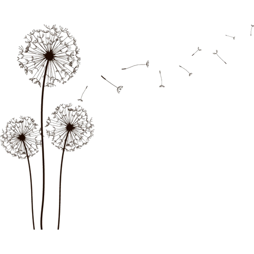 Dandelion, Flower of Hope 
