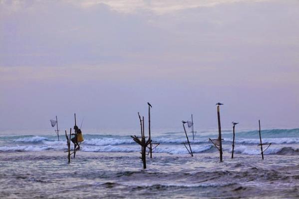 Tehnik Mancing Yang Hanya Ada di Sri Lanka