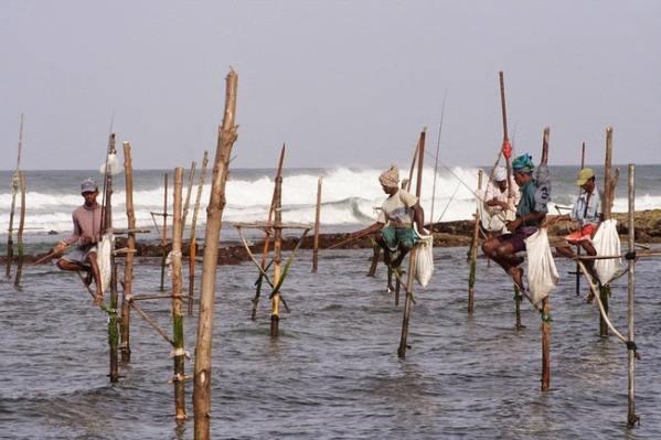 Tehnik Mancing Yang Hanya Ada di Sri Lanka