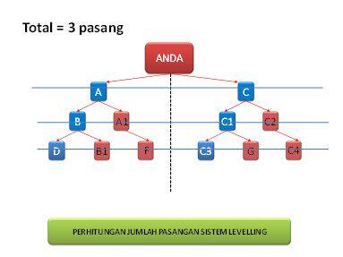 Bongkar Sistem Levelling di PT MLM dI Indonesia...