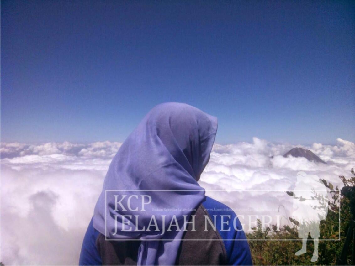 Gunung Merbabu 3.145 MDPL 