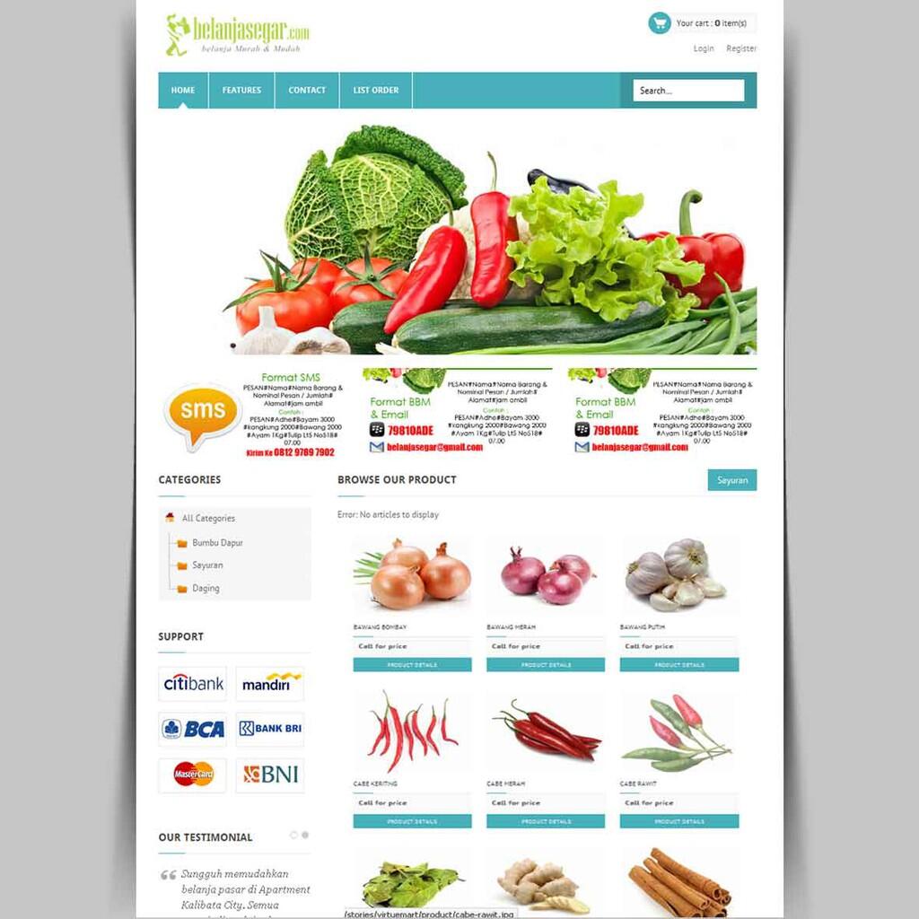 Jasa Pembuatan Website Murah