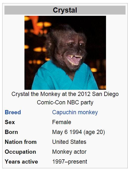 &quot;Crystal the monkey&quot; aktor monyet pintar dari hollywood