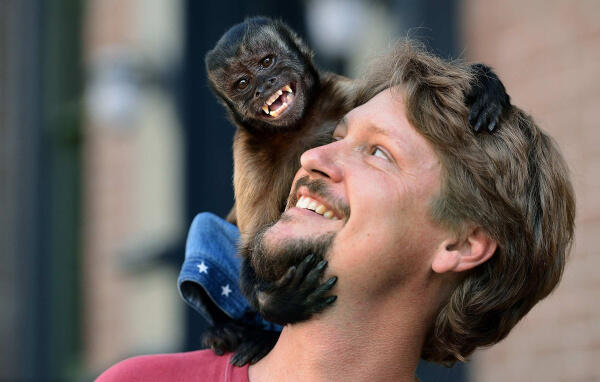 &quot;Crystal the monkey&quot; aktor monyet pintar dari hollywood
