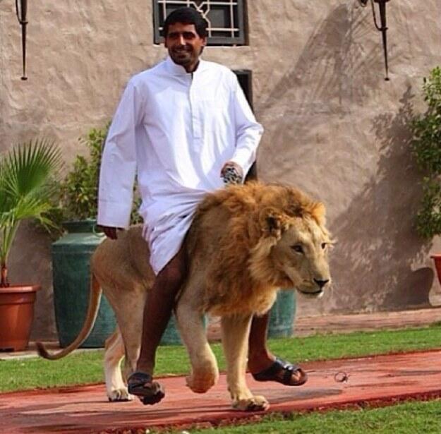 10 Hal Gila Yang Hanya ada di Dubai