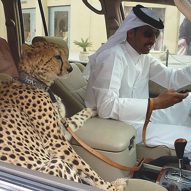 10 Hal Gila Yang Hanya ada di Dubai