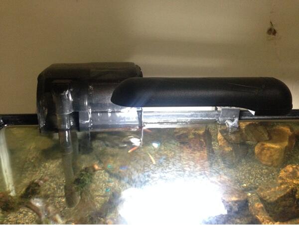 Hang on filter jebo 503 & lampu jebo jb-13 for aquascape